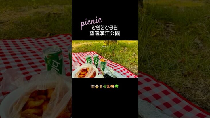 【ソウル女子旅】漢江ピクニック×望遠市場で1日まるっと癒され旅🌿🧺