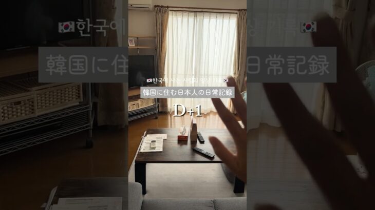 韓国に住む日本人の日常記録🇰🇷 D+1 #韓国vlog #韓国旅行 #韓国旅行vlog #韓国ワーホリ