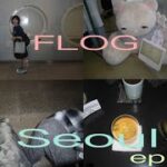 【FLOG】chillらせてくれない韓国旅行(ep.1）/韓国 vlog/韓国カフェ/Seoul/韓国旅行