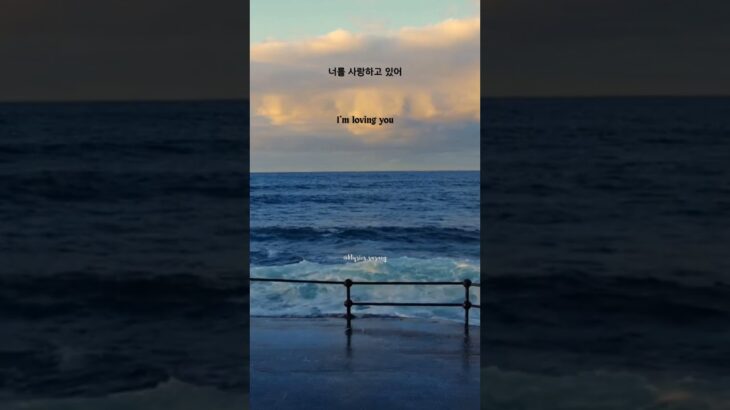 My Love (너를 사랑하고 있어) – Baekhyun – Dr.Romantic 2 OST #kdrama #kpop #lyricvideo #baekhyun #exo #백현