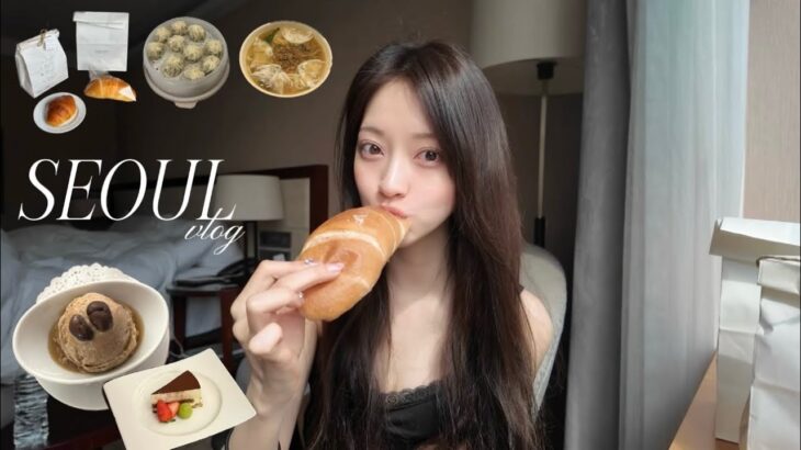 VLOG🇰🇷韓国グルメ旅🥐2/2