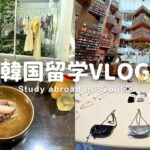 【韓国留学Vlog】水原に日帰り旅行✈️ソンス＆ハンナムでショップ巡り🛍️(※2024/8)