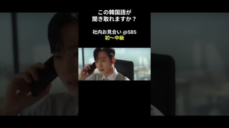 この韓国語が聞き取れますか？ #アン・ヒョソプ #キム・セジョン #社内お見合い #韓国語講座 #韓ドラ #韓国ドラマ #聞き取り #韓流 #リスニング #netflix #韓国語 #聞き流し
