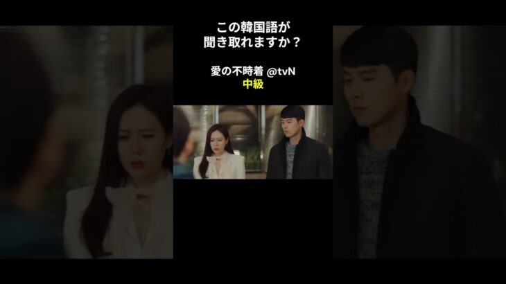 この韓国語が聞き取れますか？ #ヒョンビン #ソン･イェジン #韓国語講座 #韓ドラ #愛の不時着 #韓国ドラマ #聞き取り #韓流 #リスニング #ネトフリ #netflix