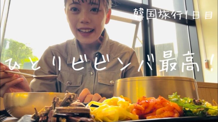 【trip Vlog No.21】韓国ソウルのグルメや買い物を1人で楽しんでいく