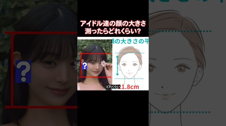 アイドルたちの顔は日本人女性の平均と比べてどれくらい小さいのか？