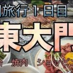 韓国旅行１日目！東大門！ホテルスカイパークキングスタウン東大門！焼き肉！オリーブヤングでショッピング！