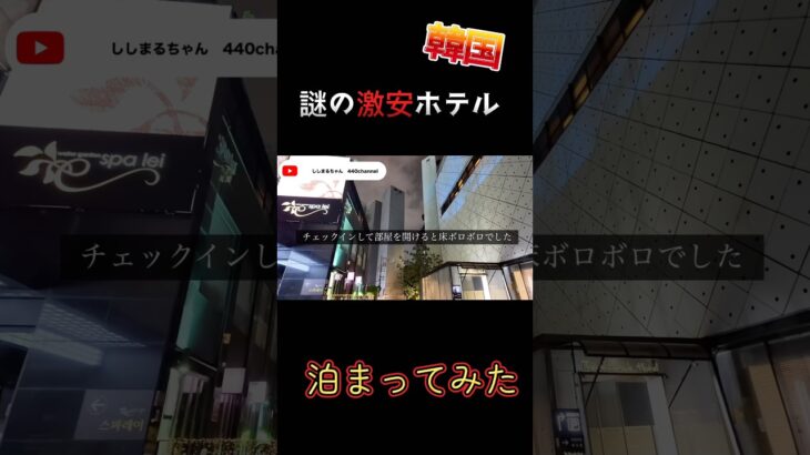 👻🧨？#韓国旅行vlog #韓国 #韓国旅行 #韓国旅行最新情報 #韓国ホテル　#ソウル　#seoul #seoultravel #한국여행 #서울여행 #ししまるちゃん　#440channel
