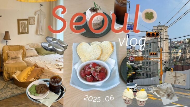 日/한)韓国旅行vlog｜2025年6月後半のソウル🇰🇷聖水の超最新スポットと買い物の記録｜梨泰院・弘大のカフェ紹介