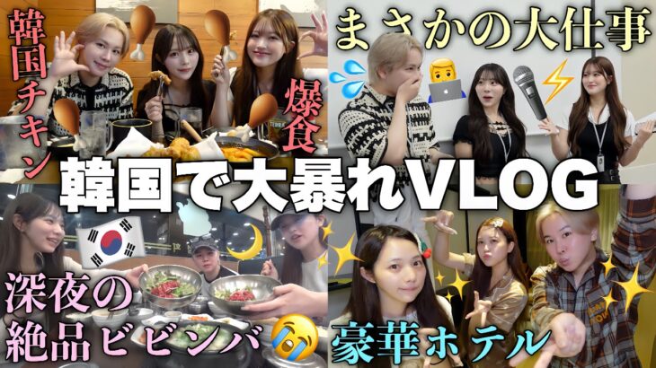 【Vlog】幼馴染3人で久々の弾丸韓国旅行🇰🇷✈️食べて遊んで働く⁉️大人の渡韓プランで大暴れしてきたスペシャルwww