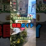 #渡韓情報 #韓国 #韓国情報 #渡韓 #韓国旅行 #koreatrip #kpop #韓国vlog #韓国グルメ #韓国料理 #9月 #ポップアップ #気温 #服装 #仁川空港 #オタ活vlog