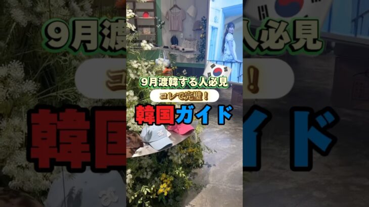 #渡韓情報 #韓国 #韓国情報 #渡韓 #韓国旅行 #koreatrip #kpop #韓国vlog #韓国グルメ #韓国料理 #9月 #ポップアップ #気温 #服装 #仁川空港 #オタ活vlog