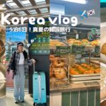 猛暑🥵☀️真夏の韓国旅行を楽しむ方法✈️広蔵市場,東大門ナイトショッピング,仁寺洞,ピクサー展までいける大充実＆爆食旅🥓🍜🍩【韓国vlog】