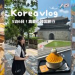親子で行く真夏の韓国旅行✈️🇰🇷安国,ハンガン クルージング🚢韓ドラの聖地 水原🌳 ピョルマダン図書館📖【韓国vlog】