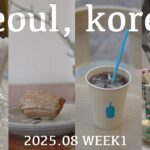 【韓国vlog】2025年8月最新！弘大・汝矣島ひとりグルメ&カフェグルメ巡り！コングクス|ユッケジャンカルグクス