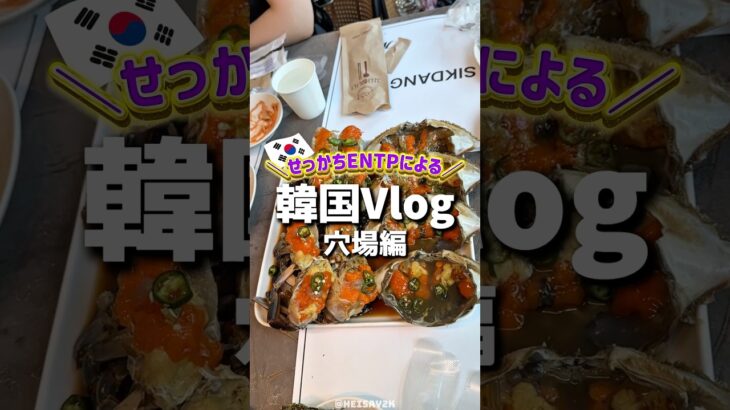 韓国Vlog🇰🇷穴場編❣️#渡韓 #韓国 #韓国旅行 #韓国グルメ