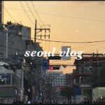 [韓国Vlog] ✩°｡⋆ 1泊2日ひとり旅＊/ 美容皮膚科 / 聖水 /ショッピング