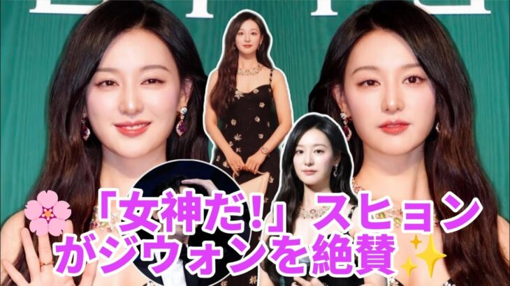 🌸キム・スヒョン「彼女は女神だ！」💖キム・ジウォンへの想いが止まらない🔥