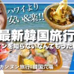 【韓国旅行vlog2025】これがリアル韓国🇰🇷ローカルカフェ・市場食べ歩き•BTSロケ地巡りの旅プラン大公開‼️【ソウルから日帰り🔥】