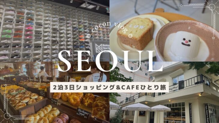 【韓国vlog】2泊3日ショッピング&カフェごはん一人旅/ソンス/漢南洞/東大門/明洞