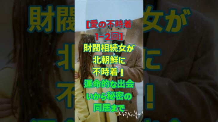 [愛の不時着1-2回]財閥相続女が北朝鮮に不時着！運命的な出会いから秘密の同居まで