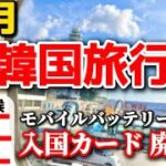 【韓国旅行】11月の韓国旅行で失敗しない！冬の韓国リアル持ち物＆服装ガイド🇰🇷最新ソウル旅行情報！韓国入国カード 電子入国申告書/モバイルバッテリー