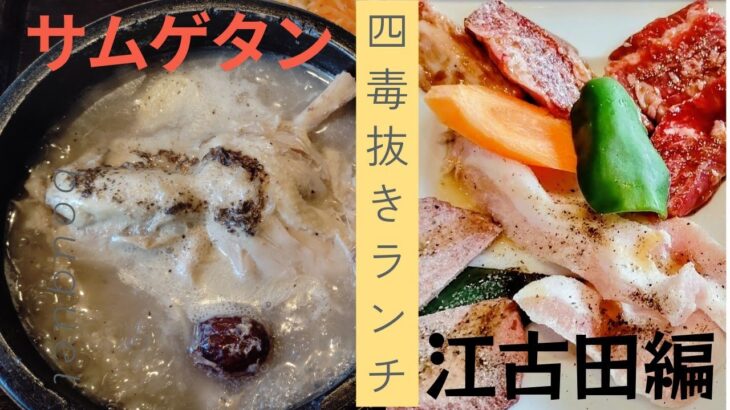【四毒抜きランチ】【江古田編】焼肉 韓国料理 NIKUZO 江古田店  サムゲタン＆焼肉ランチ