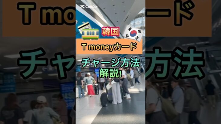 Tmoneyカードのチャージ方法🐻💳 #韓国旅行 #韓国情報 #渡韓 #tmoney #韓国 #交通情報 #ソウル #ソウル旅行 #韓国vlog #渡韓vlog #韓国ひとり旅