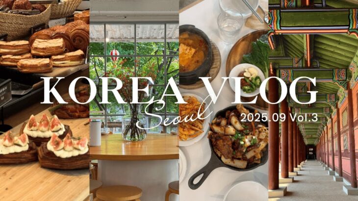 【韓国旅行VLOG vol.3】景福宮｜絶対行ってほしい絶品ランチ｜広蔵市場｜母娘ソウル旅 最終話✨