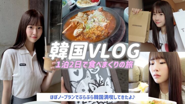 【VLOG】1泊2日韓国旅行✈️🇰🇷グルメにショッピングに大満足🛍️