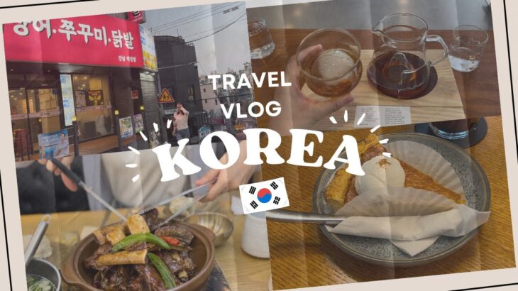 【韓国VLOG】#40 ソウル旅行DAY1🇰🇷絶品カルビチム・水冷麺🤤チュクミ🐙/アックジョンエリア最新グルメ/カフェ)