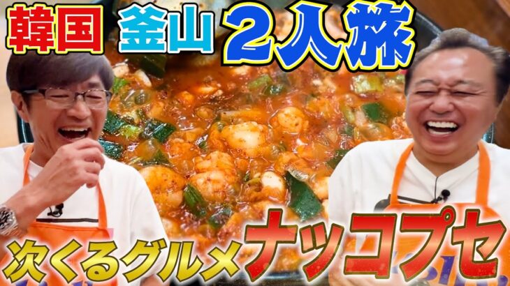 【韓国釜山2人旅①激ウマ鍋】次くるグルメ「ナッコプセ」に感動!