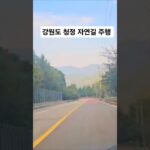 시간여행 시리즈 ❤️ 😎 👀 ✔️ 강원도 청정 자연길 주행! #대한민국여행 #원삿갓 #여행 #자연의힘 #다이루어질지니 #우리에게안녕 #임영웅 #임영웅유튜브