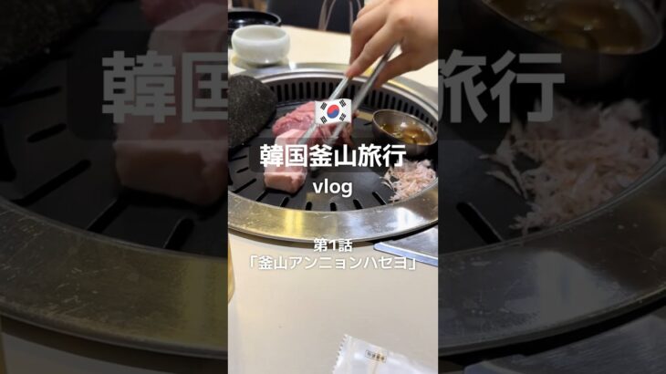 【韓国釜山旅行vlog】第1話「釜山アンニョンハセヨ」#釜山グルメ #釜山 #釜山旅行 #韓国 #韓国旅行 #韓国グルメ #vlog #サムギョプサル #釜山グルメまとめ #韓国グルメまとめ #西面