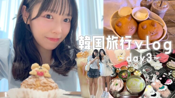 【韓国旅行vlog🇰🇷】韓国カフェ巡り&爆買いin狎鴎亭・新村・弘大・聖水🧸 しっかり韓国料理も🍚