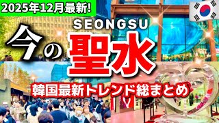 【冬の韓国ソウル旅行】今のソウル聖水に話題の最新スポットモデルコース‼️韓国ブランド勢揃い🇰🇷聖水洞 ソンスドン